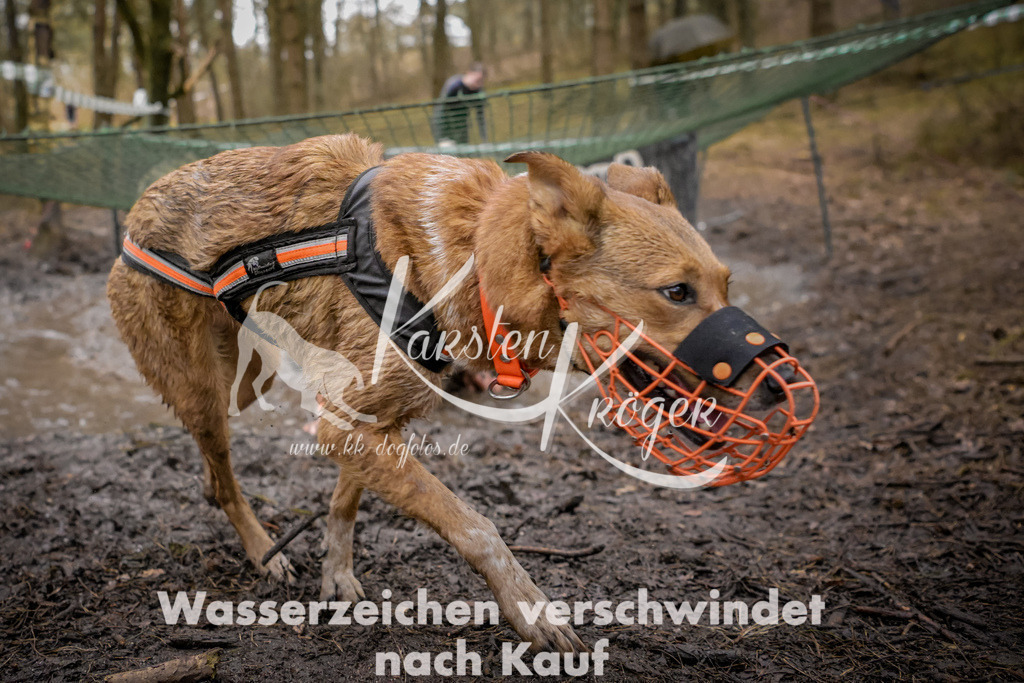 0915_ZZ96936 | kk-dogfotos