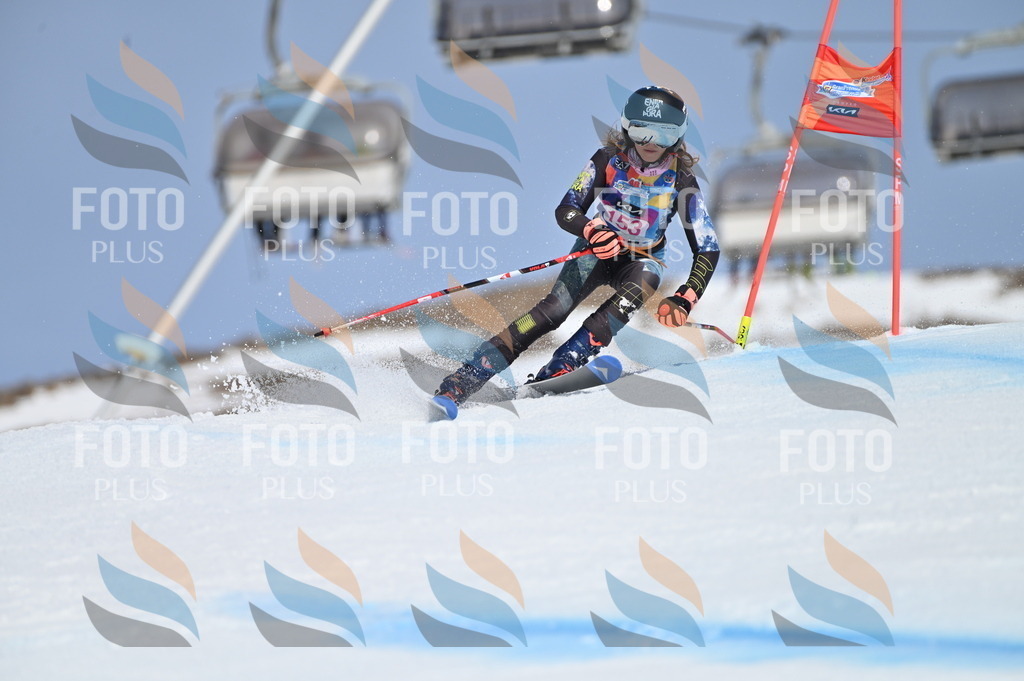 BGV_0093 | holidayphoto