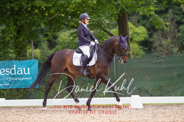 DKP40853 | Turniersportfotografie; Pferdefotografie; Dressurfotografie