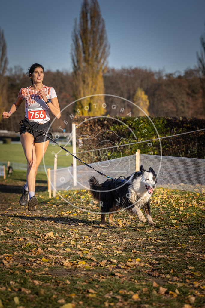 CaniXpix_DV3A2568 | Hundefotografie, Tierfotograf, Pfotenfotografie, Fotoshooting Hund, Hunde Portrait, Hundesport, Hundeportraits, Heideshooting, Hunde, Sportfotograf, Hundefotograf, Turnierhundsport, THS,  - Realisiert mit Pictrs.com