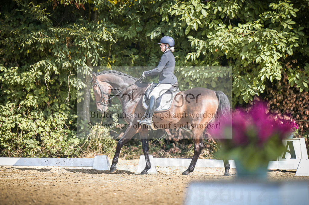 DOS_3975 | Entdecke hochwertige Reitturnierfotos von Foto Oger. Professionell, emotional und authentisch – jetzt Lieblingsmomente im Shop bestellen.Deutschlandweite Turnierfotografie. - Realisiert mit Pictrs.com