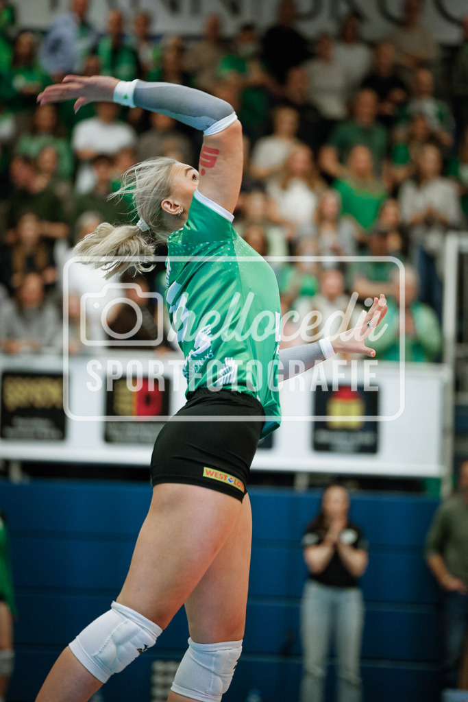 Volleyball I Frauen I Saison 2025-2026 I Bundesliga I Playoff-Viertelfinale 2 I USC Münster - Dresdner SC-104 | realhellocedii - Realisiert mit Pictrs.com