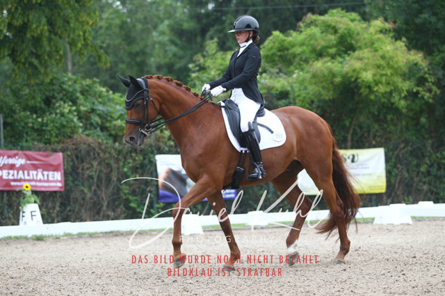 DKP40118 | Turniersportfotografie; Pferdefotografie; Dressurfotografie