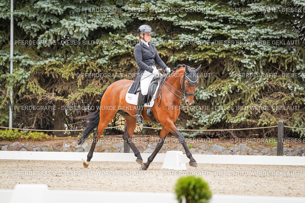 DSC07216 | Pferdegrafie