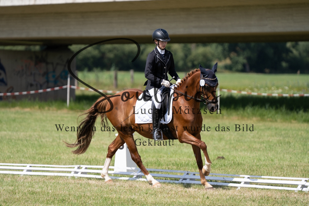 A7V09747 | Pferdefotograf