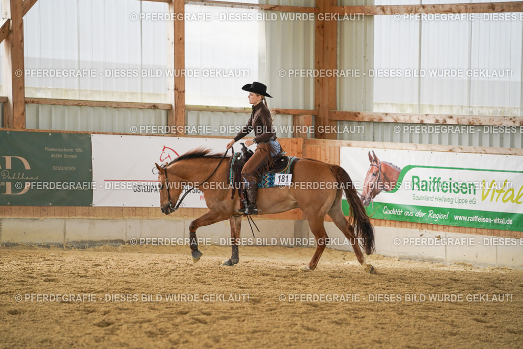 DSC04661 | Pferdegrafie