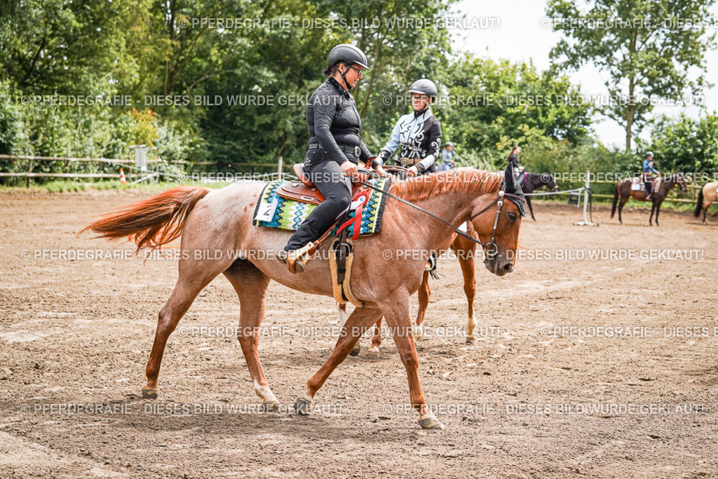 DSC05825 | Pferdegrafie