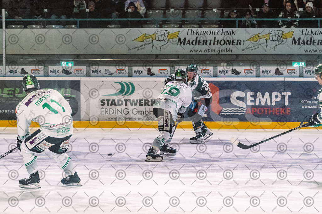 Erding_vs_Alligators_02_01_2026-32 | Höchstadt Alligators Fotogalerie: Eishockey-Action aus Franken. Professionelle Spielfotos, Portraits & Stadionbilder zum Download. Jetzt entdecken! - Realized with Pictrs.com