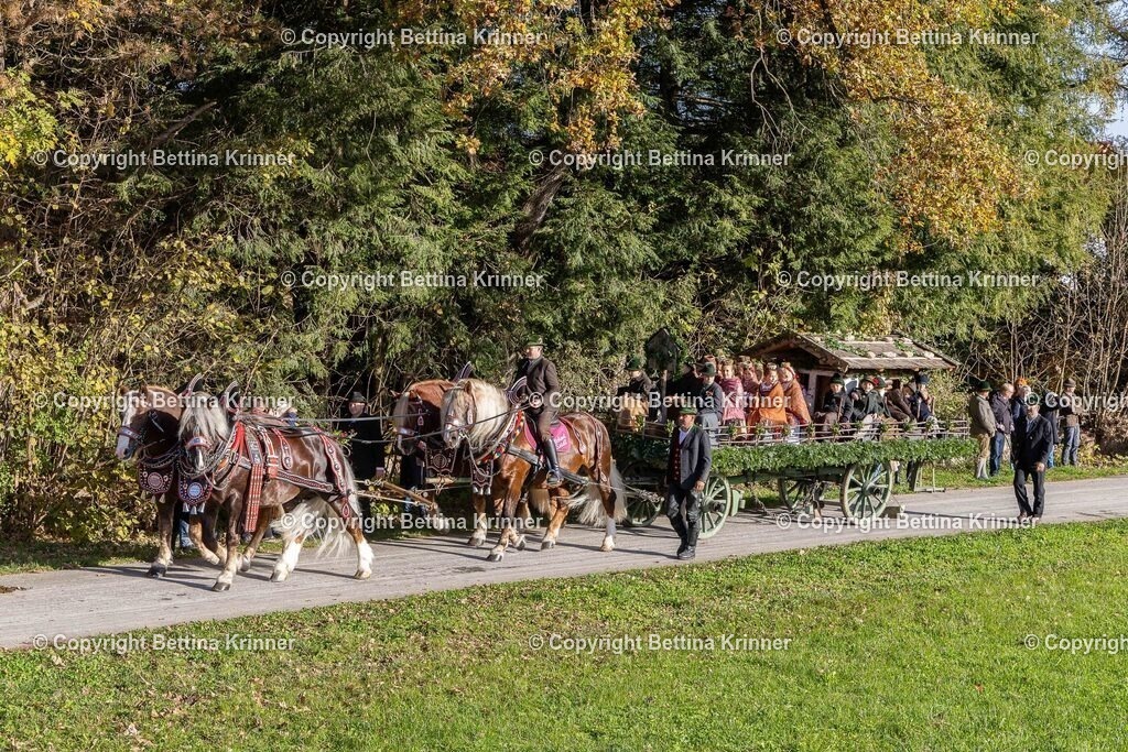 LBT24-367 | foto-bettina-krinner - Realisiert mit Pictrs.com