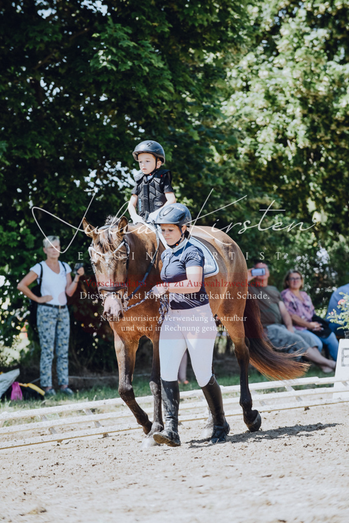 DSC_2488 | Pferde- und Turnierfotografie in Westsachsen. Pferdeportraits, Auftragszeichnungen und intuitive Kunst.