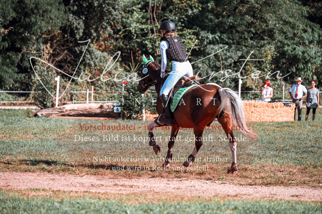 DSC_0844 | Pferde- und Turnierfotografie in Westsachsen. Pferdeportraits, Auftragszeichnungen und intuitive Kunst.