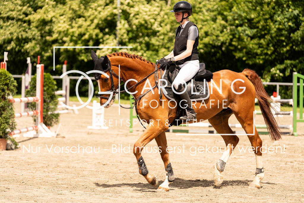 DSC02489 | Carolin Gieschke