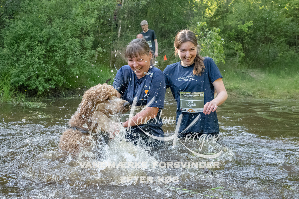 1745DKK992594 | kk-dogfotos