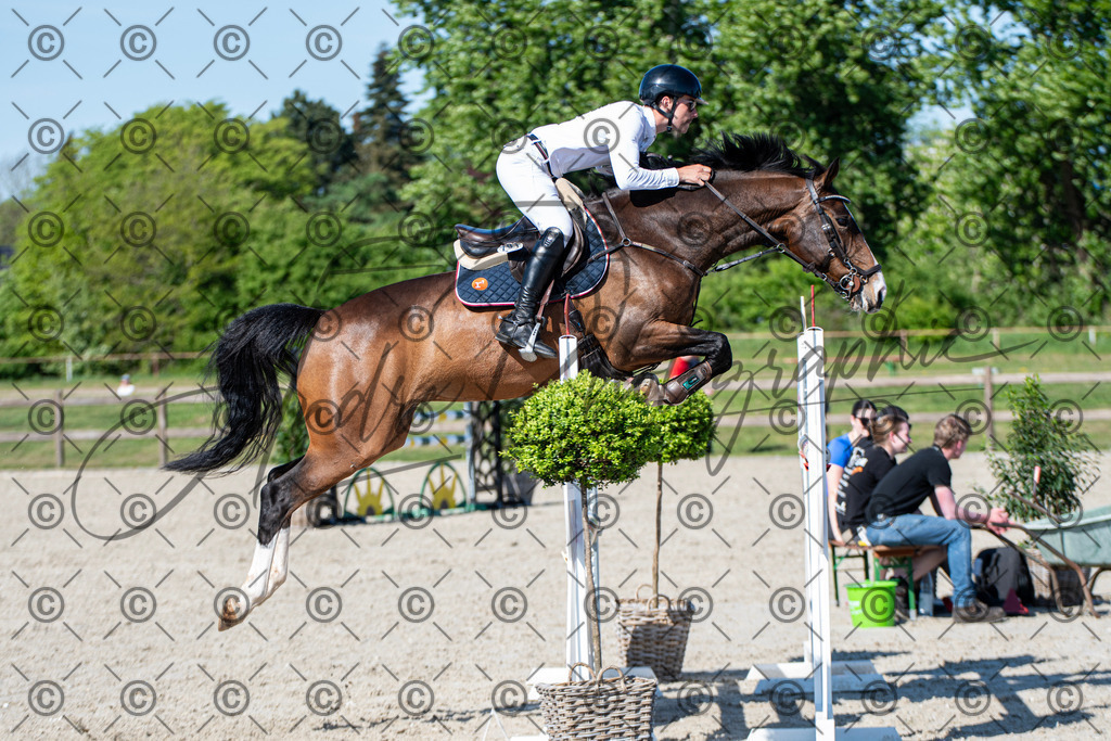 KPT_1686 | andre_photographic