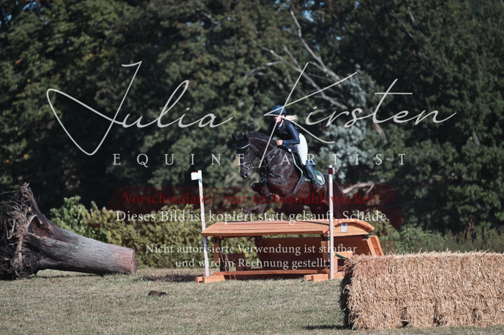 DSC_8807 | Pferde- und Turnierfotografie in Westsachsen. Pferdeportraits, Auftragszeichnungen und intuitive Kunst.