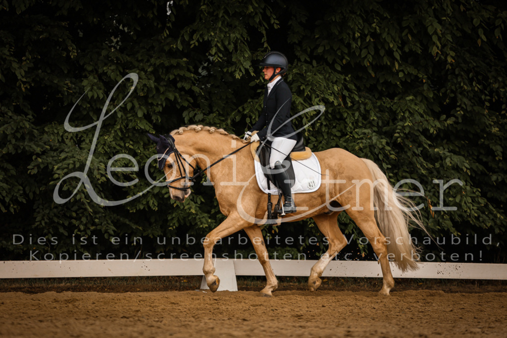 DoDrA00533 | Leoni Ertmer Photography - Realisiert mit Pictrs.com