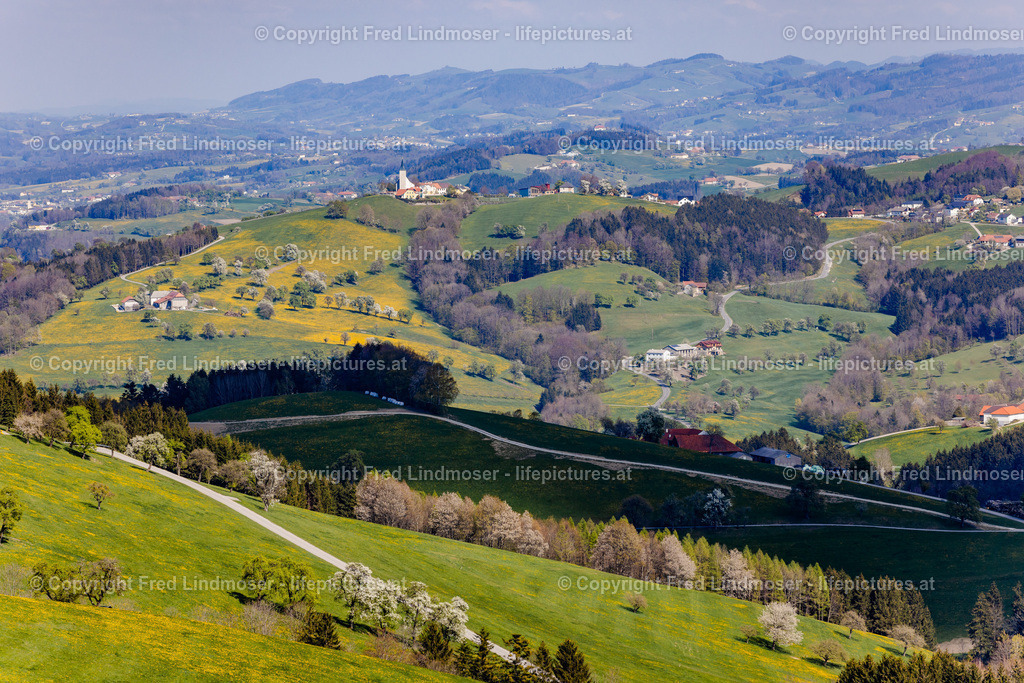Mostviertel Birnenbluete-6928 | Fotos und Fotoprodukte - Realisiert mit Pictrs.com