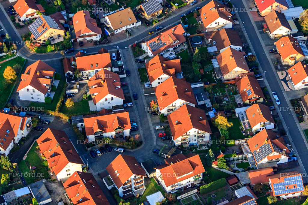 Birkenweg | Luftbild: Birkenweg in Rülzheim im Bundesland Rheinland-Pfalz in Deutschland. Foto: IMG_60275.jpg vom 22.10.2013 durch Werner Riehm/FLY-FOTO.de - Realisiert mit Pictrs.com