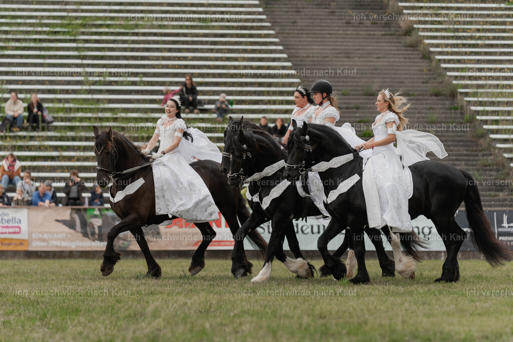 Showprogramm-310 | working equitationturnier fotograf videograf stoibphotography marixx film working equitation deutschland reitsport turnierfotografie eventfotografie equestrian events