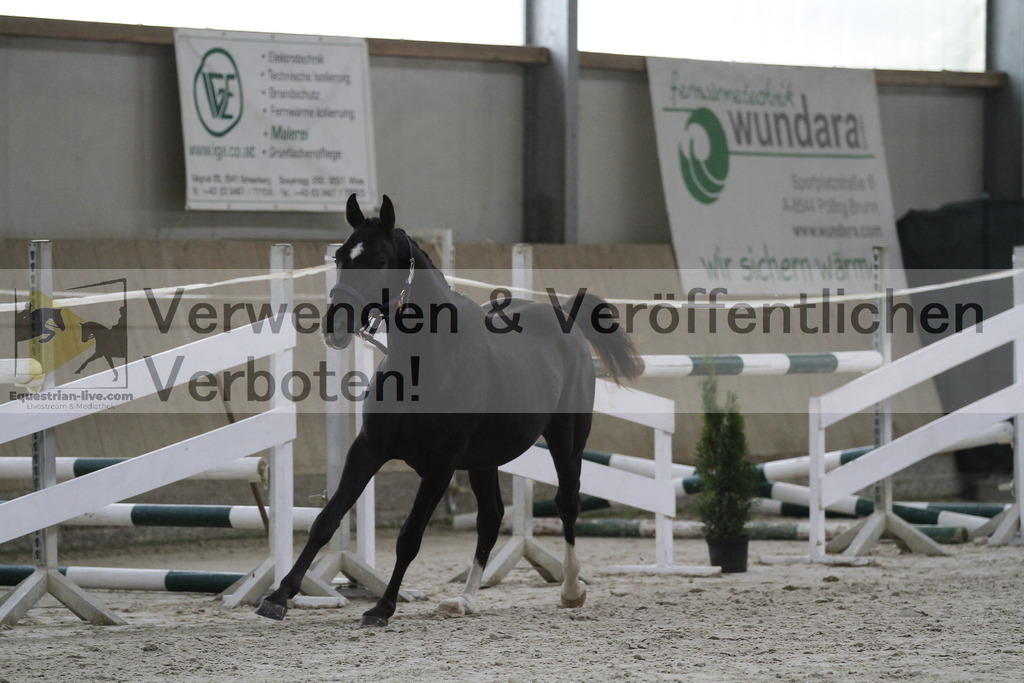 _MG_9353 | equestrian-live-com