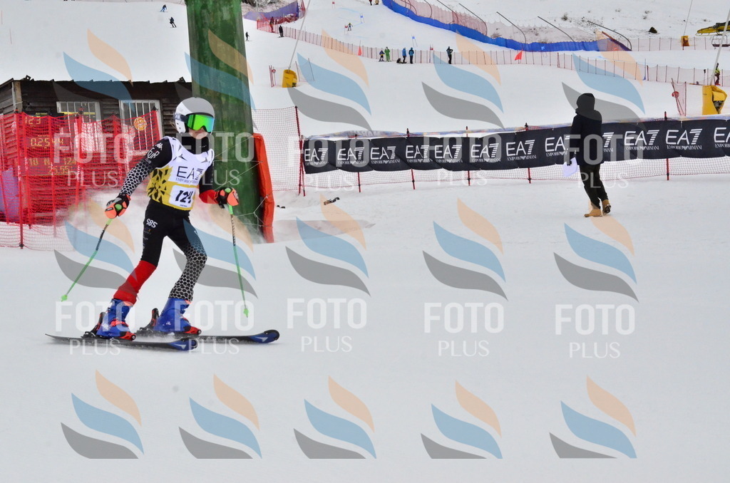 _ELE3665 | holidayphoto