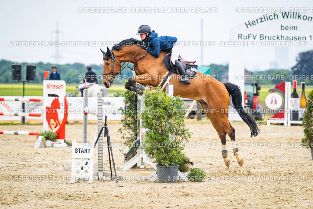 DSC09404 | Pferdegrafie