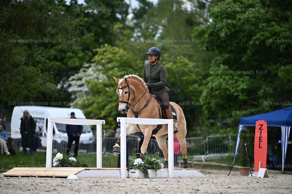 PI26_SP_Sara_Landvogt_226_4650.JPG | working equitationturnier fotograf videograf stoibphotography marixx film working equitation deutschland reitsport turnierfotografie eventfotografie equestrian events