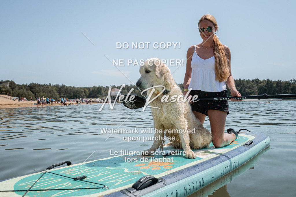 nelerasche_saSUP2_65 | nelerasche