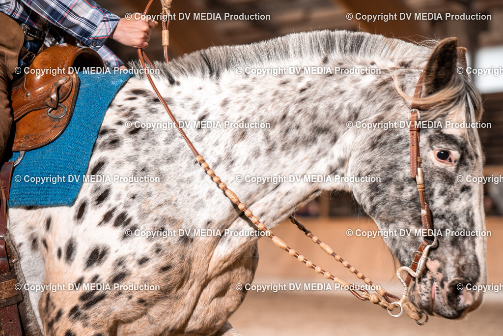 Heidelberg Tag 2-528 | dv-media-shop - Realisiert mit Pictrs.com