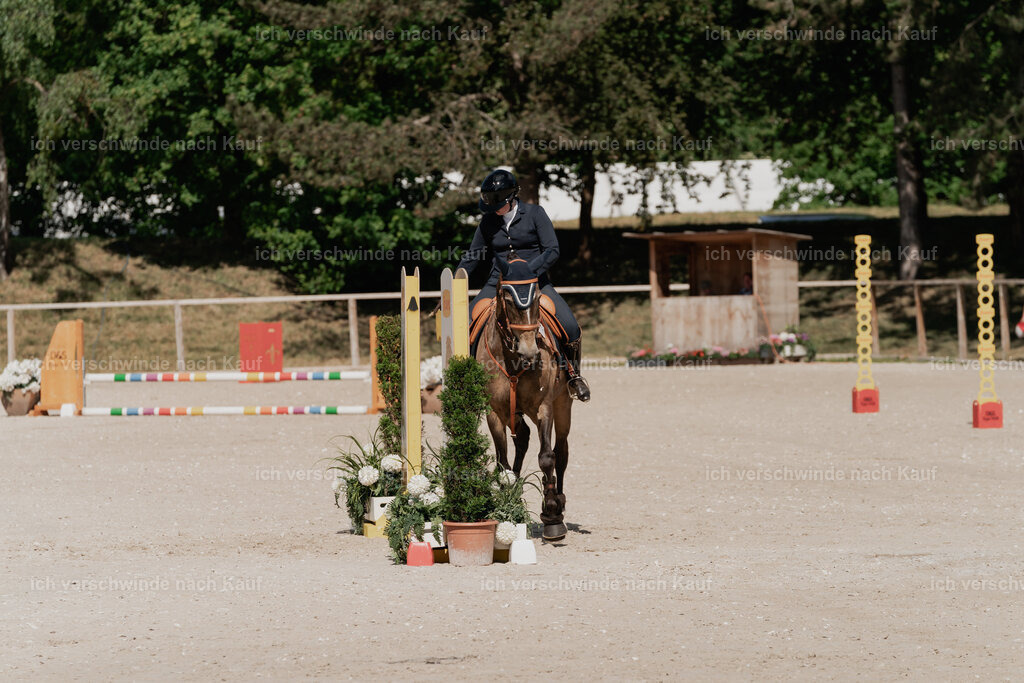 WE_ST_Stoib_329_PI2025_927 | Pferd International München 2025