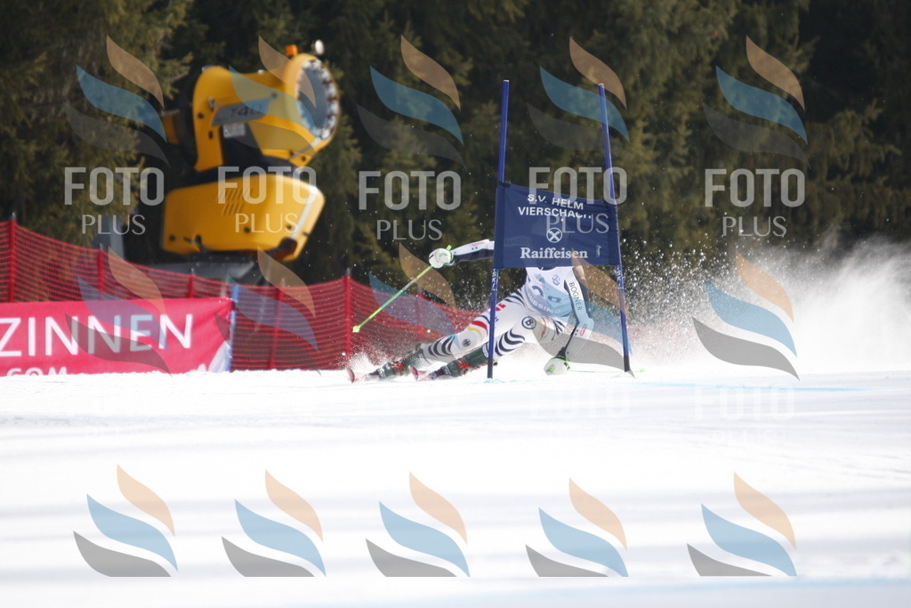 D8159 | holidayphoto