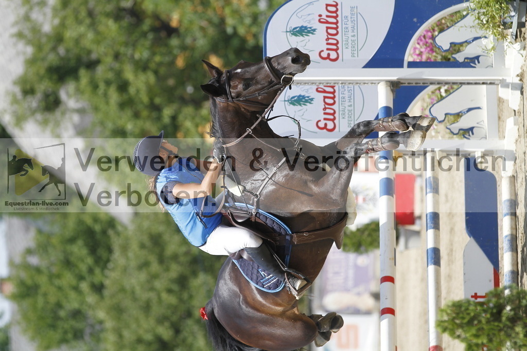 _MG_5300 | equestrian-live-com