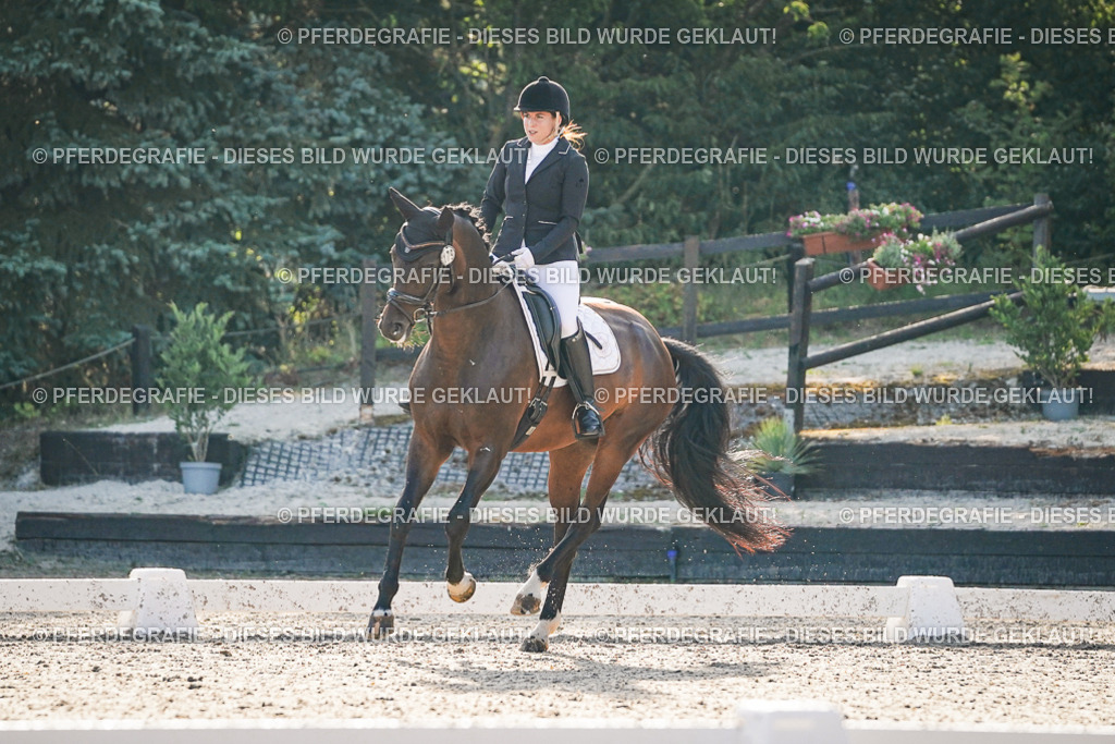 DSC08064 | Pferdegrafie