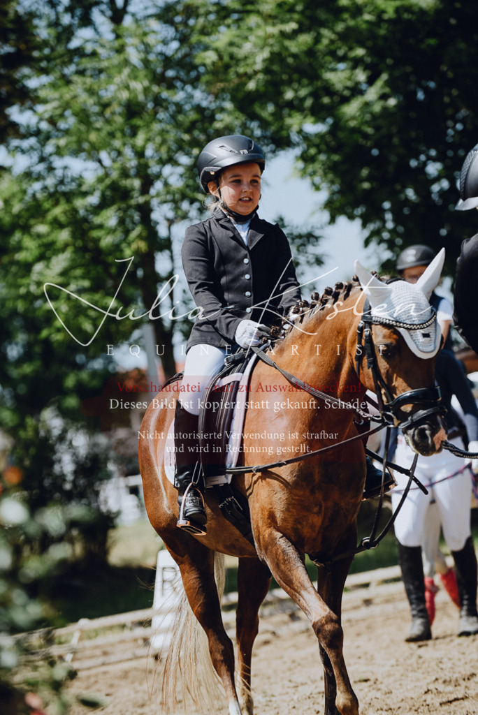 DSC_2510 | Pferde- und Turnierfotografie in Westsachsen. Pferdeportraits, Auftragszeichnungen und intuitive Kunst.