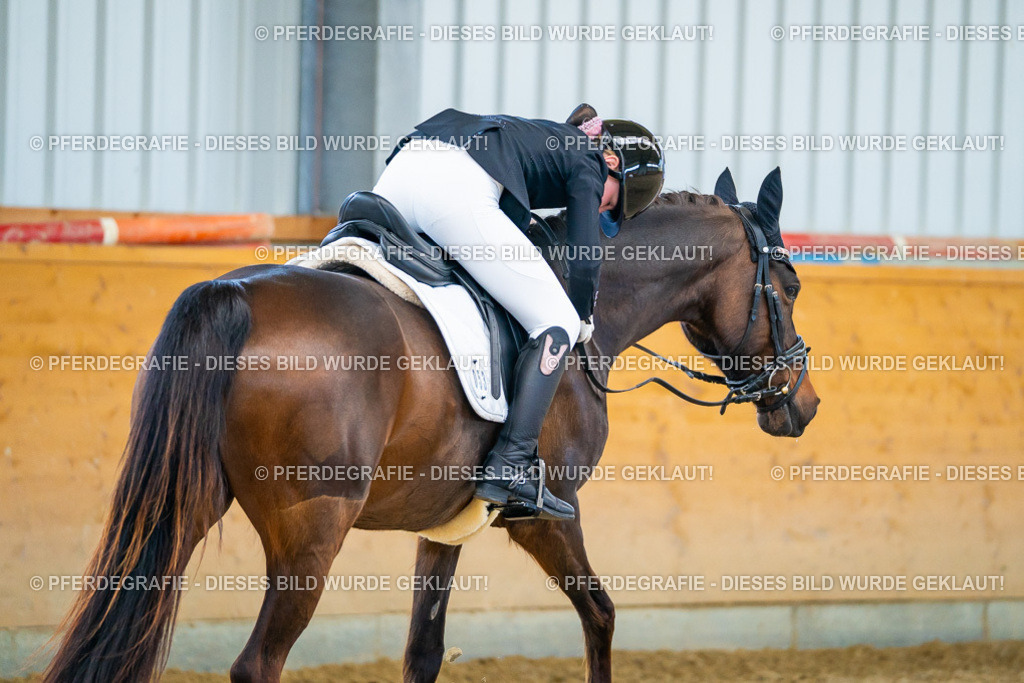 DSC06402 | Pferdegrafie