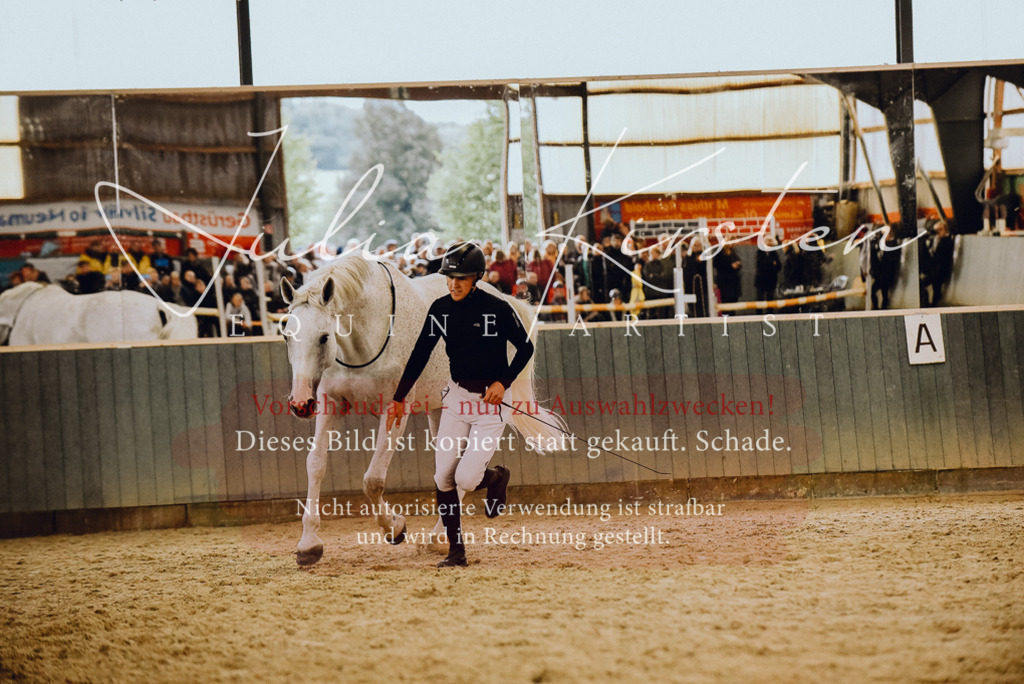 DSC_6958 | Pferde- und Turnierfotografie in Westsachsen. Pferdeportraits, Auftragszeichnungen und intuitive Kunst.