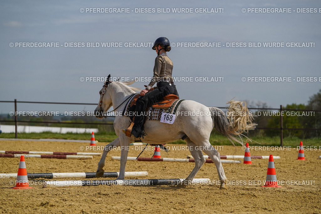 DSC04728 | Pferdegrafie