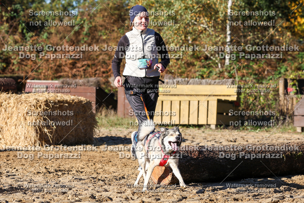 Dog Paparazzi - Strongdog 10-25-1608 | Dog Paparazzi Jeanette Grottendiek Fotografie & Videografie - Realisiert mit Pictrs.com