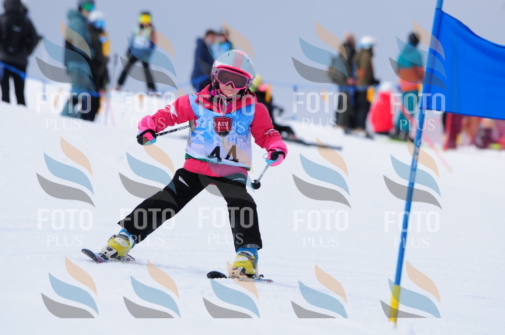 A3534 | holidayphoto