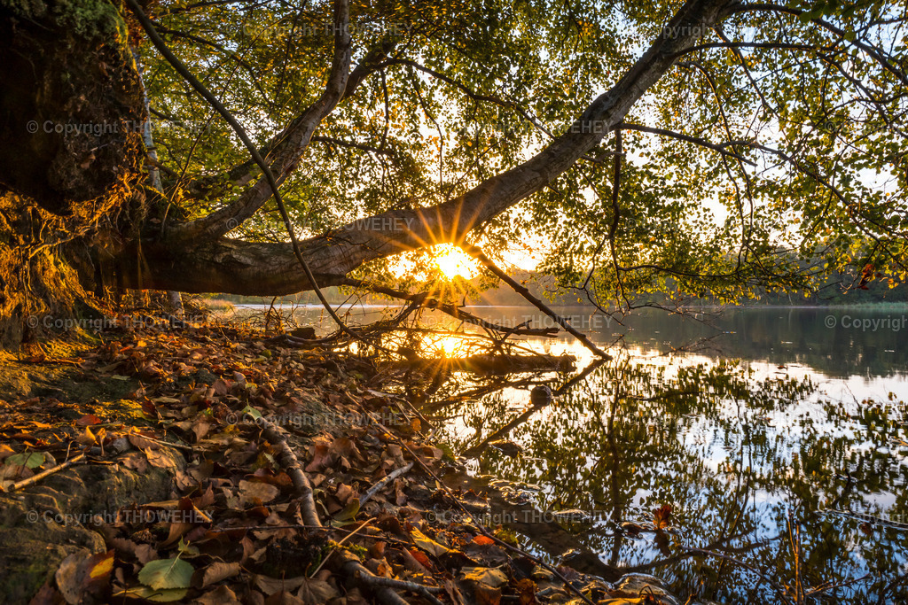 _1011475 | thowehey - Realisiert mit Pictrs.com