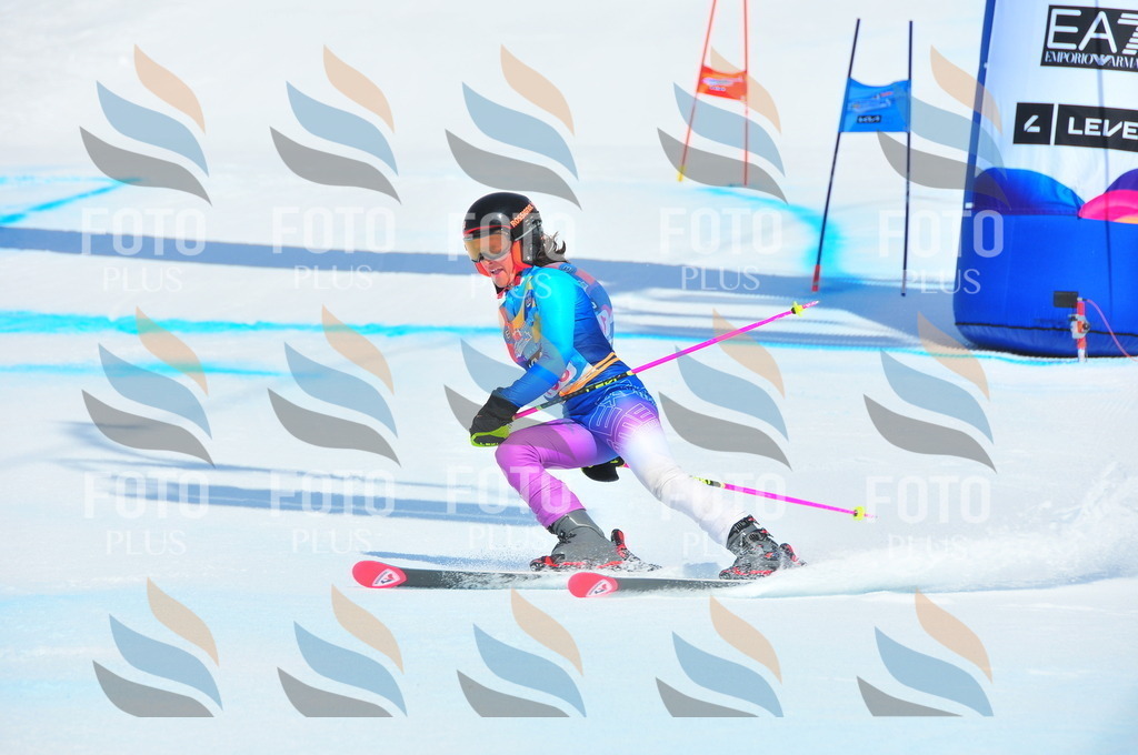 DSC_5187 | holidayphoto