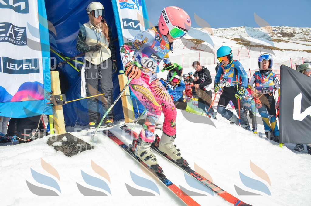 _ELE5825 | holidayphoto