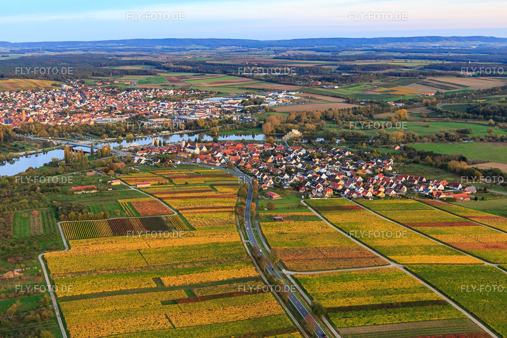 Dorfansicht mit Weinbergen am Main aus Westen | Luftbild: Dorfansicht mit Weinbergen am Main aus Westen im Ortsteil Astheim in Volkach im Bundesland Bayern in Deutschland. Foto: IMG_119473.jpg vom 25.10.2019 durch Werner Riehm/FLY-FOTO.de - Realisiert mit Pictrs.com