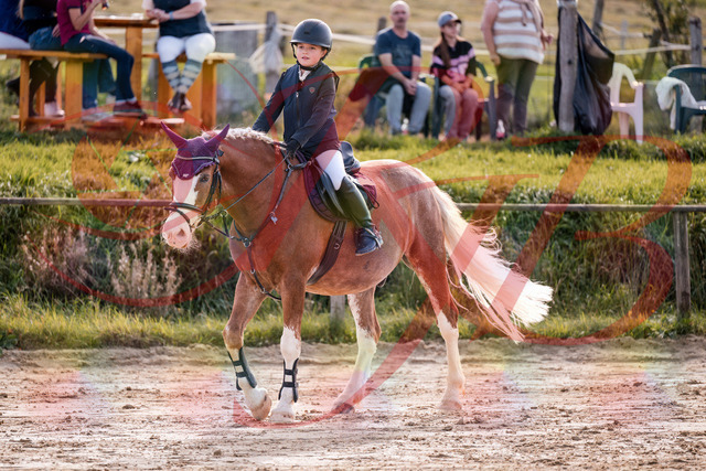 2026_10_03_Siefer-Hof_144531_Z81_21204197 | Professionelle Reitsport-, Turnier- und Eventfotografie von Robert Broda. Galerien mit ausgewählten und bearbeiteten Bildern direkt online ansehen und bestellen.