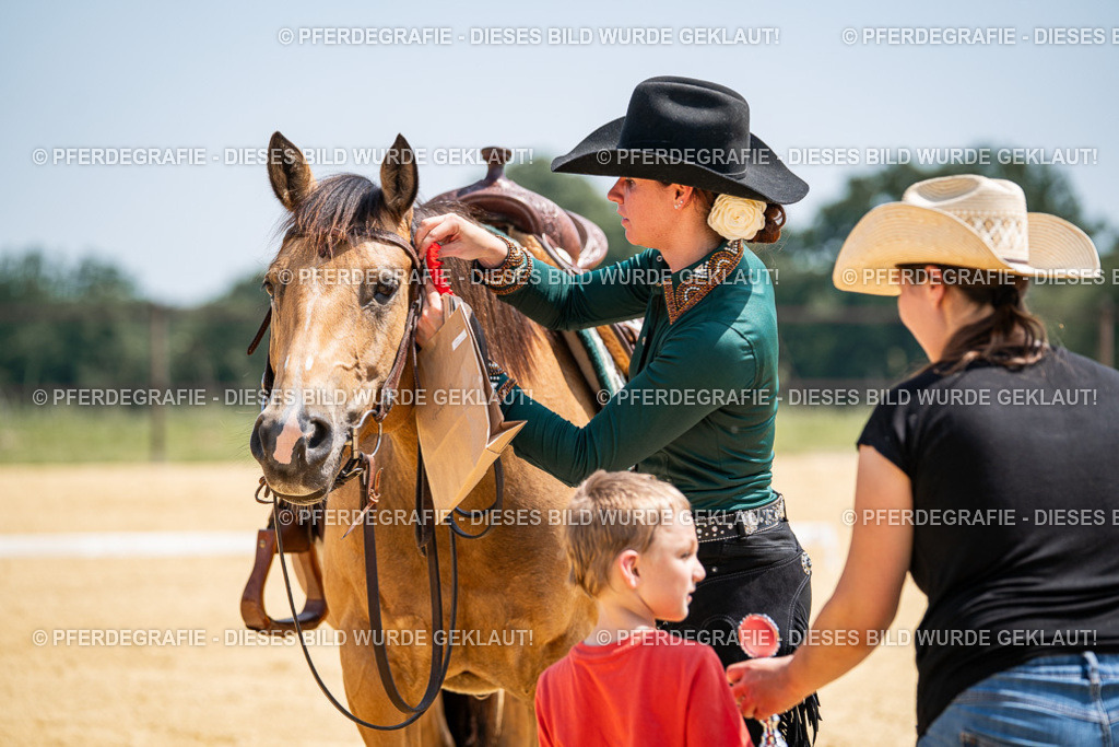 DSC01402 | Pferdegrafie