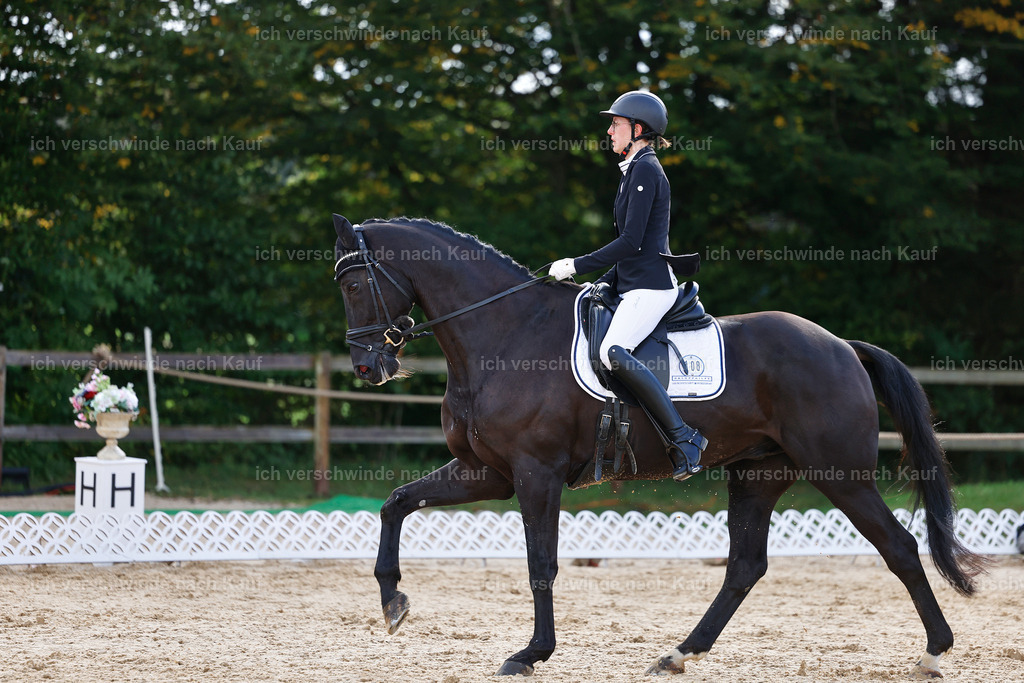 02-108-DRESSUR L_  -StoibPH-4740 | working equitationturnier fotograf videograf stoibphotography marixx film working equitation deutschland reitsport turnierfotografie eventfotografie equestrian events