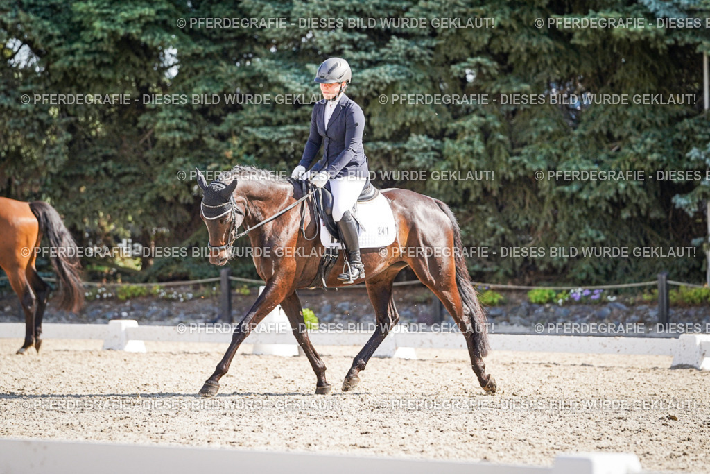 DSC00331 | Pferdegrafie