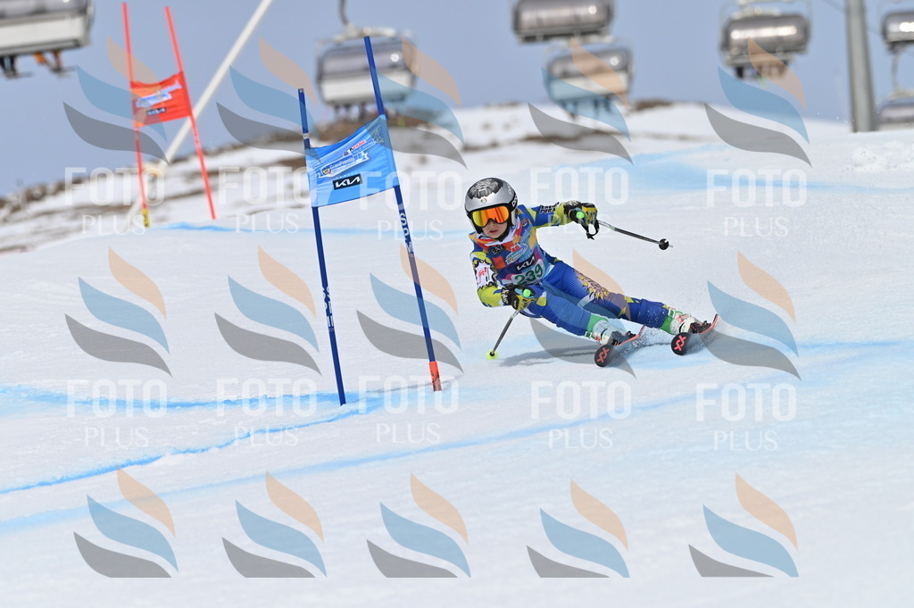 BGV_4731 | holidayphoto