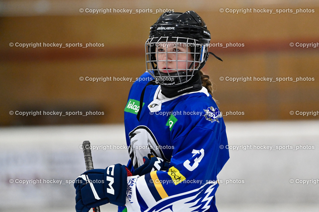Wildcats Paternion vs. Lady Hawks  | #13 Arzuhaldzic Adela LADY HAWKS, Wildcats Paternion vs. Lady Hawks , Wildcats Paternion vs. Lady Hawks  am 27.01.2025 in Spittal an der Drau (Eissportzentrum Spittal), Austria, (Photo by Bernd Stefan)