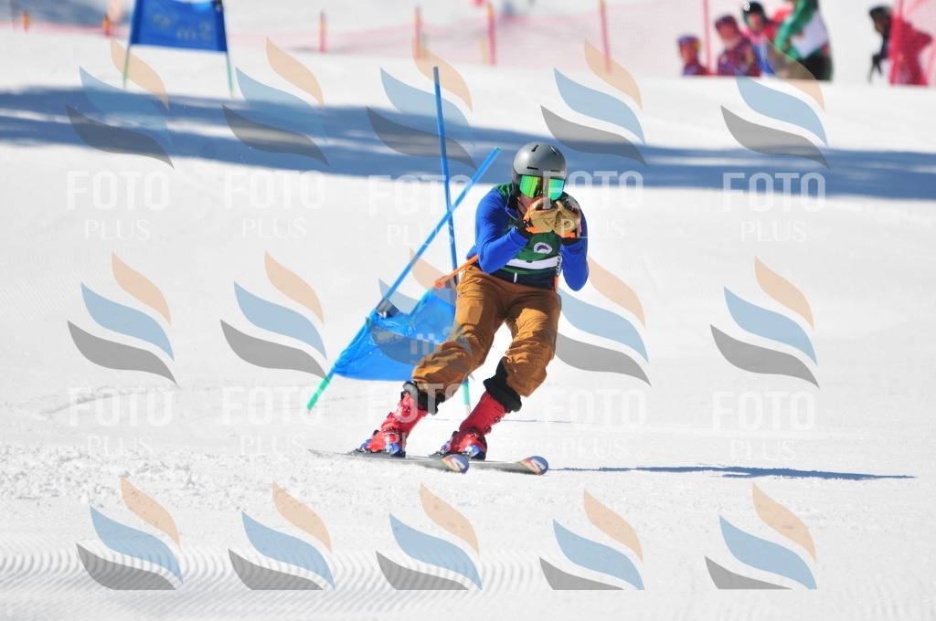 C3330 | holidayphoto